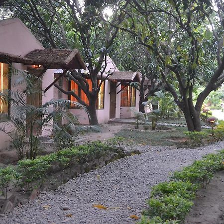Vanya River Lodge Dhikuli Εξωτερικό φωτογραφία